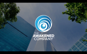 awakened leadership