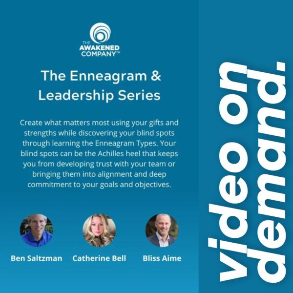 The Enneagram and Leadership Series